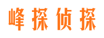 凤台市私家侦探